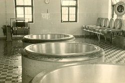 Käserei Asperting 1951